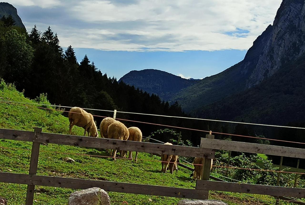 Agriturismo Maso Pertener -Adults Friendly- Comano Terme Exterior photo