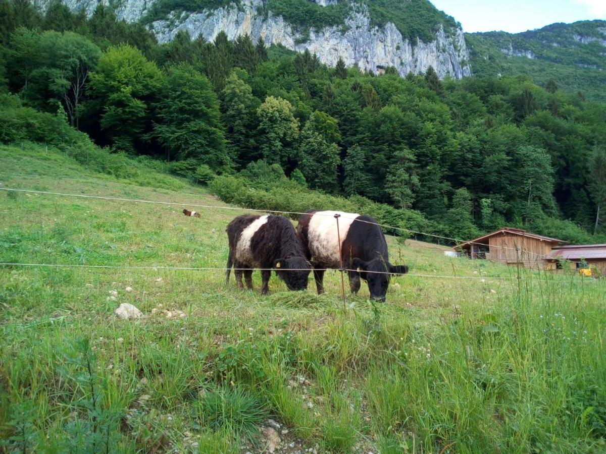 Agriturismo Maso Pertener -Adults Friendly- Comano Terme Exterior photo